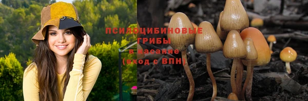 дмт Горняк