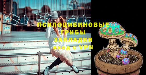 молекула духа Горнозаводск