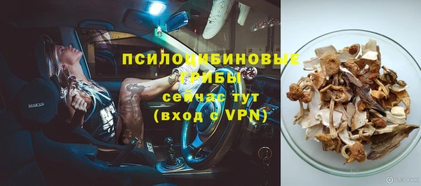 дмт Горняк