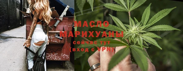 молекула духа Горнозаводск