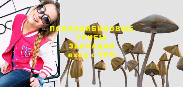 дмт Горняк