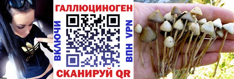 Галлюциногенные грибы ЛСД  наркошоп  Дальнереченск 